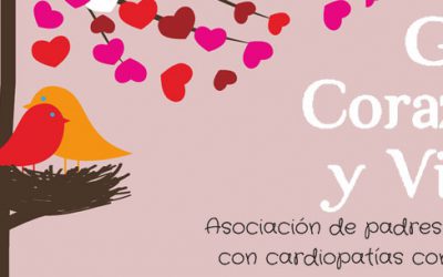 Asociación Corazón y Vida