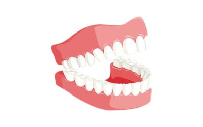 ¿Cuántos dientes tenemos realmente?